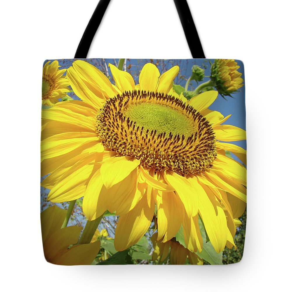 Volledige Foto Digitale Afdruk Cotton Tote Factory | Cotton Tote Factory Volledige Foto Digitale Afdruk Cotton Tote Factory